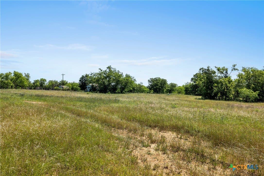 95 acres in Milam County - photo 16