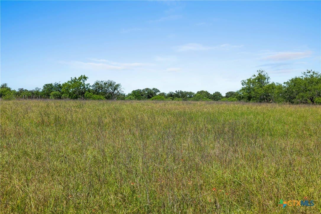 95 acres in Milam County - photo 12