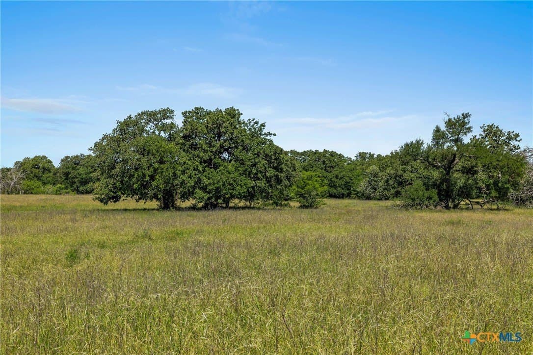 95 acres in Milam County - photo 20
