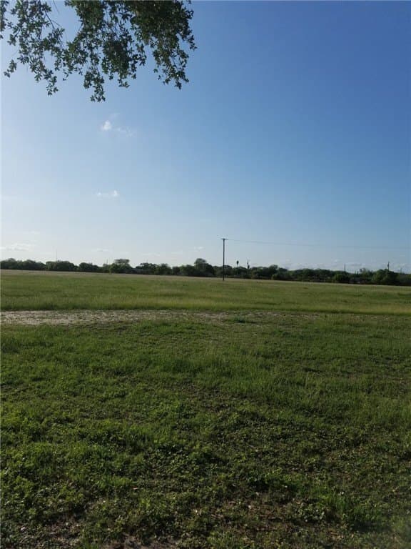 17 acres in Jim Wells County - photo 2