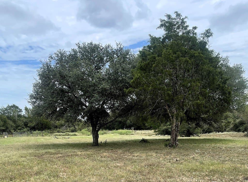 4.34 acres in Lavaca County - photo 2