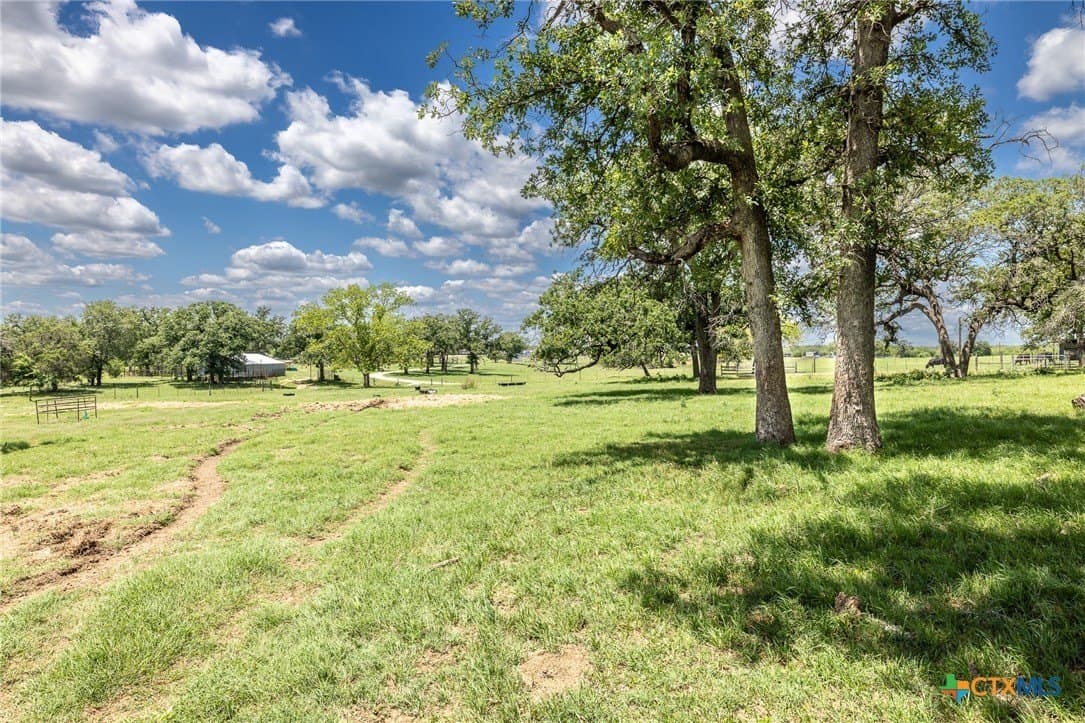 30.03 acres in Gonzales County - photo 43