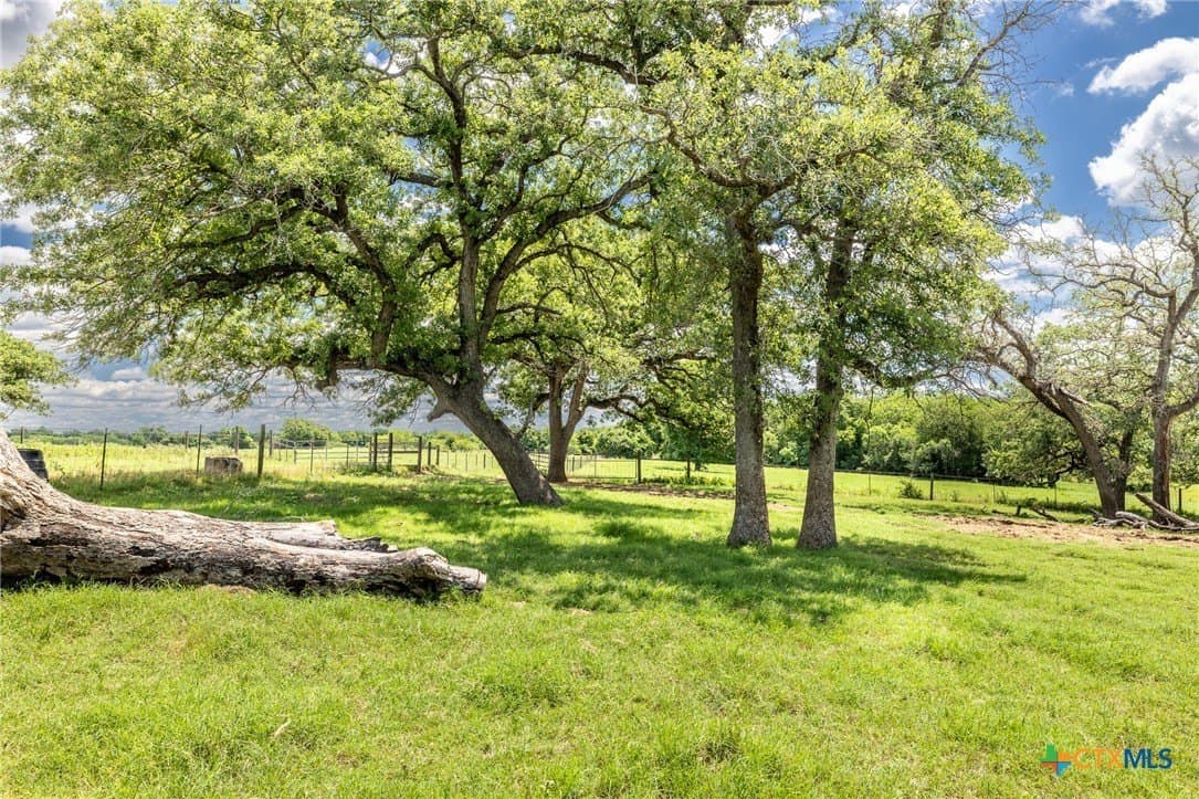 30.03 acres in Gonzales County - photo 42