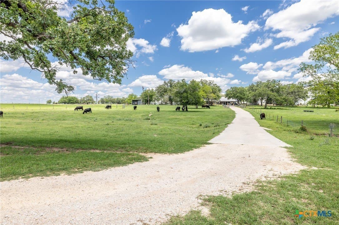 30.03 acres in Gonzales County - photo 4
