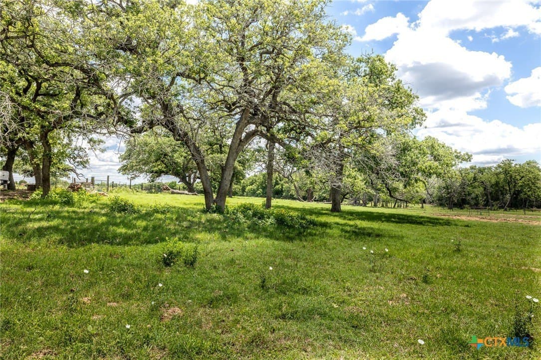 30.03 acres in Gonzales County - photo 40