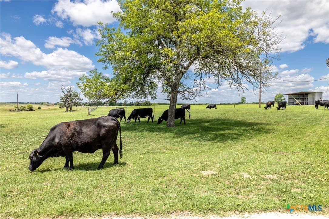 30.03 acres in Gonzales County - photo 37