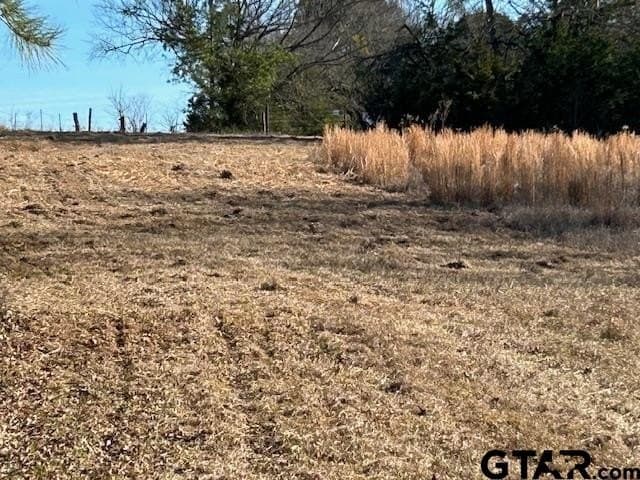 111.7 acres in Wood County - photo 6