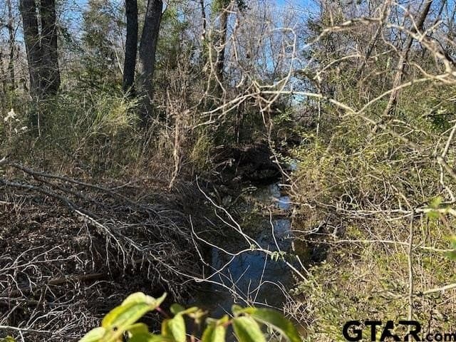 111.7 acres in Wood County - photo 12