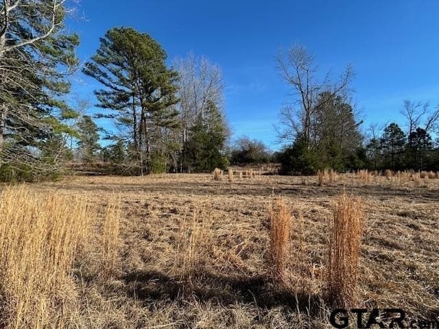 111.7 acres in Wood County - photo 9