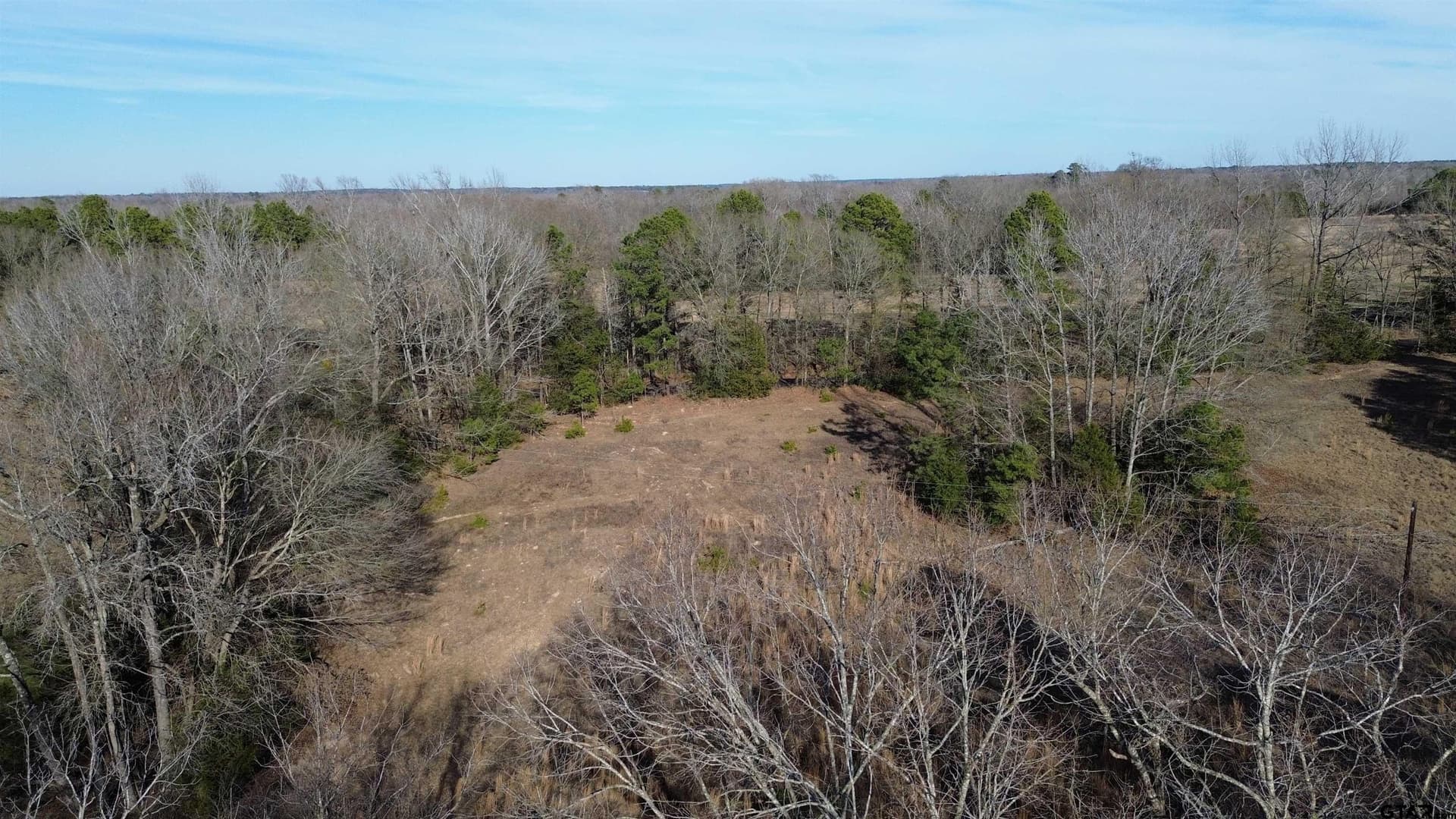 111.7 acres in Wood County - photo 22