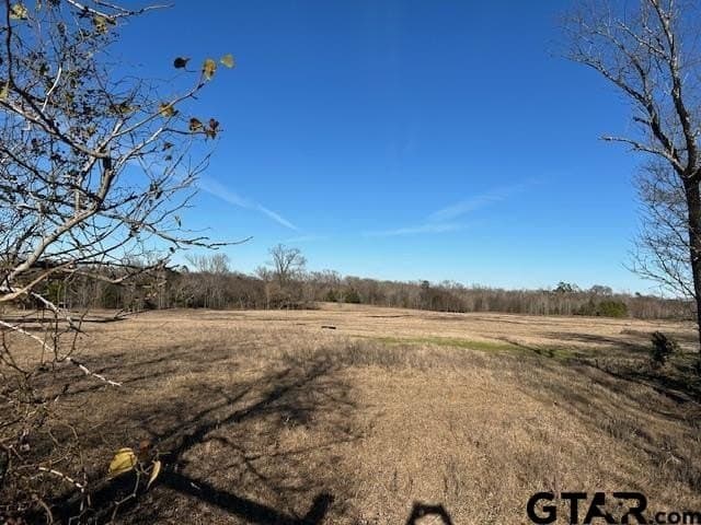 111.7 acres in Wood County - photo 19