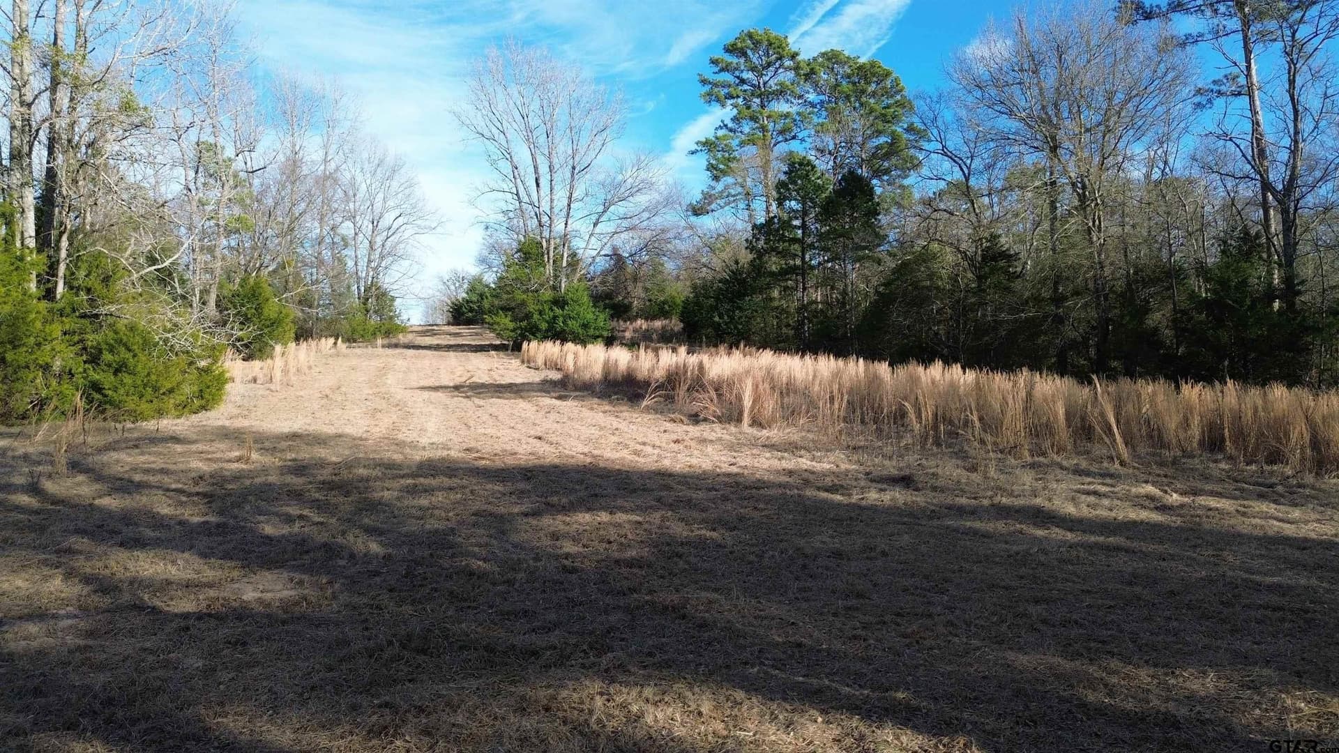 111.7 acres in Wood County - photo 31