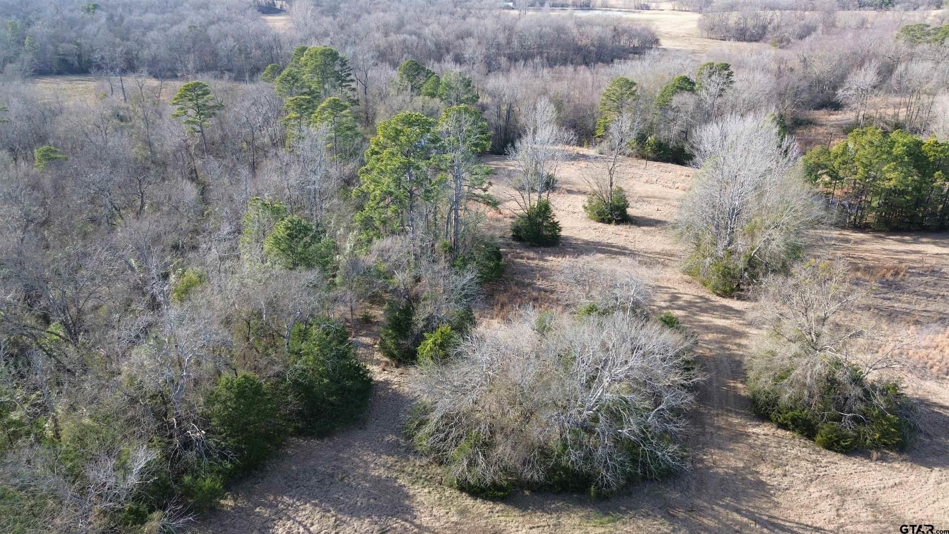 111.7 acres in Wood County - photo 30