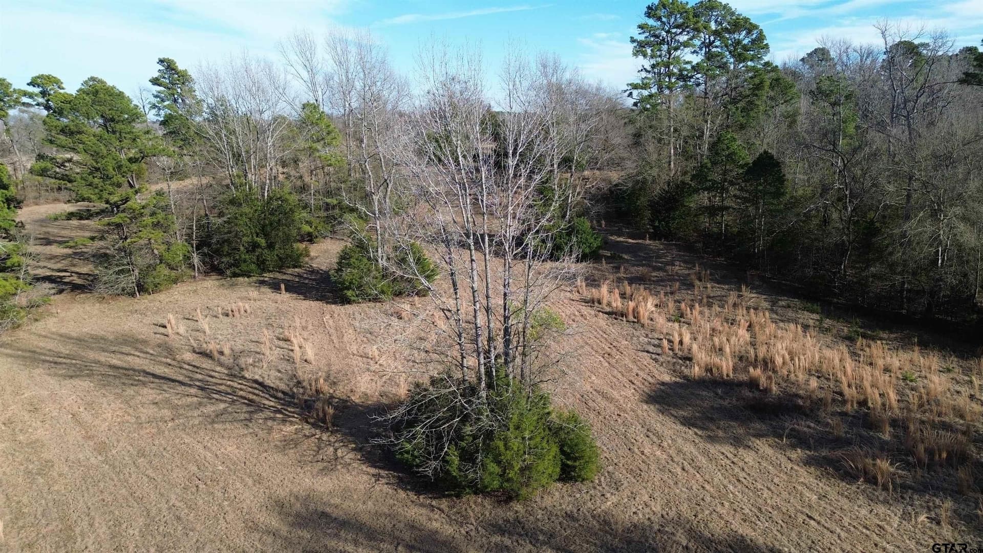 111.7 acres in Wood County - photo 4