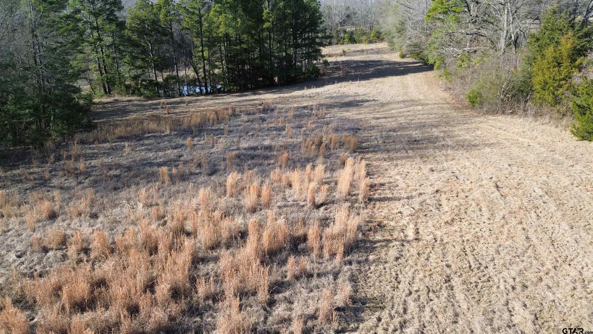 111.7 acres in Wood County - photo 24
