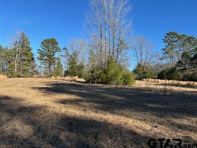 111.7 acres in Wood County - photo 15