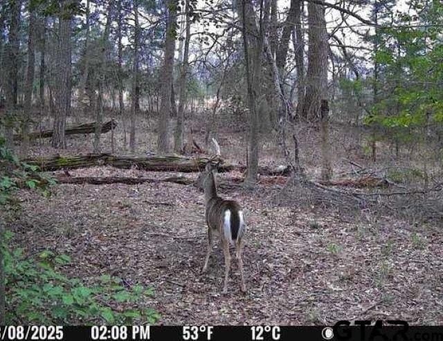 111.7 acres in Wood County - photo 2
