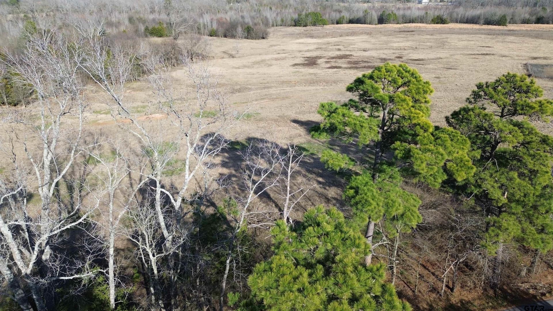 111.7 acres in Wood County - photo 32