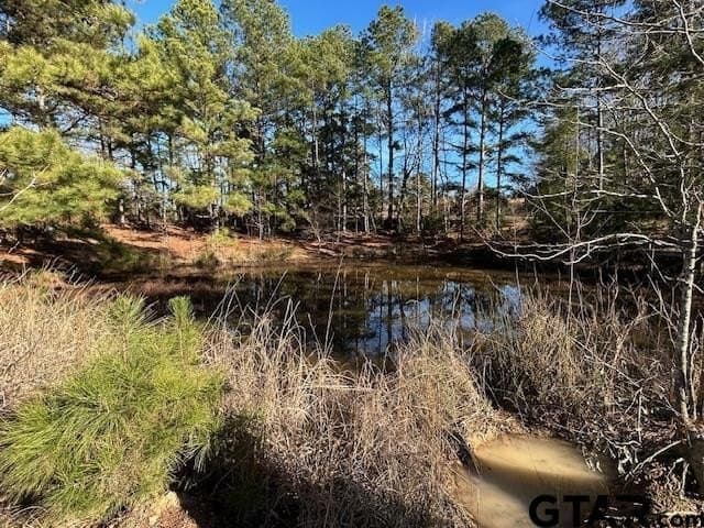 111.7 acres in Wood County - photo 8
