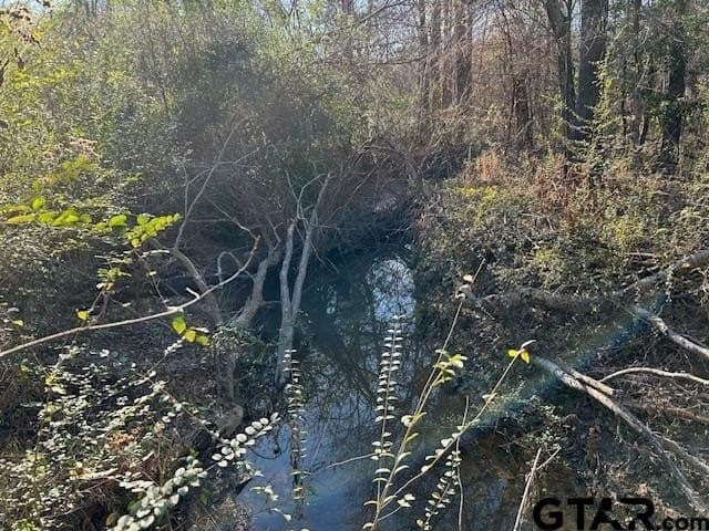 111.7 acres in Wood County - photo 13