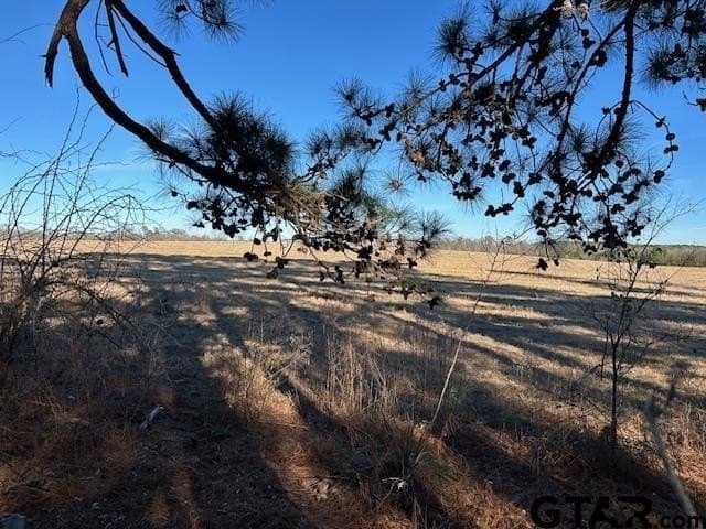 111.7 acres in Wood County - photo 5