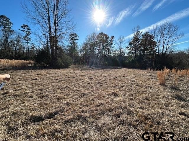 111.7 acres in Wood County - photo 10