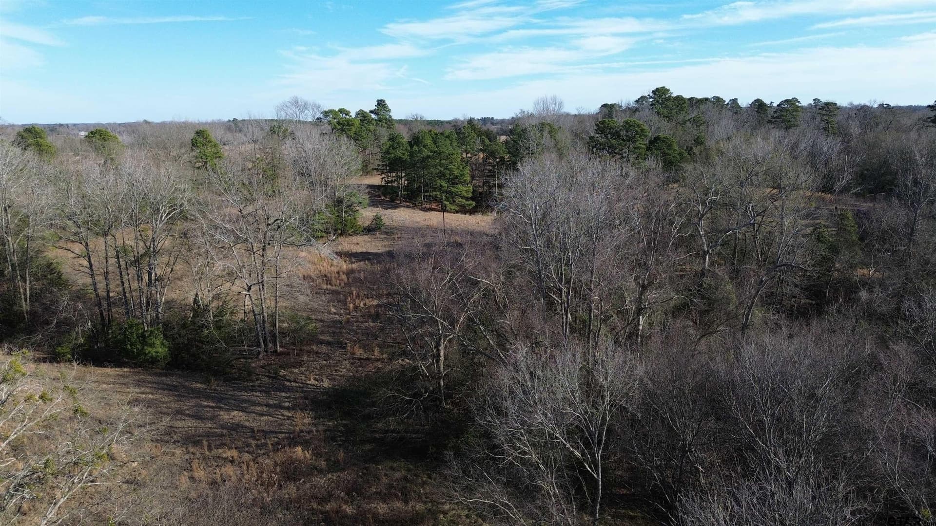 111.7 acres in Wood County - photo 21