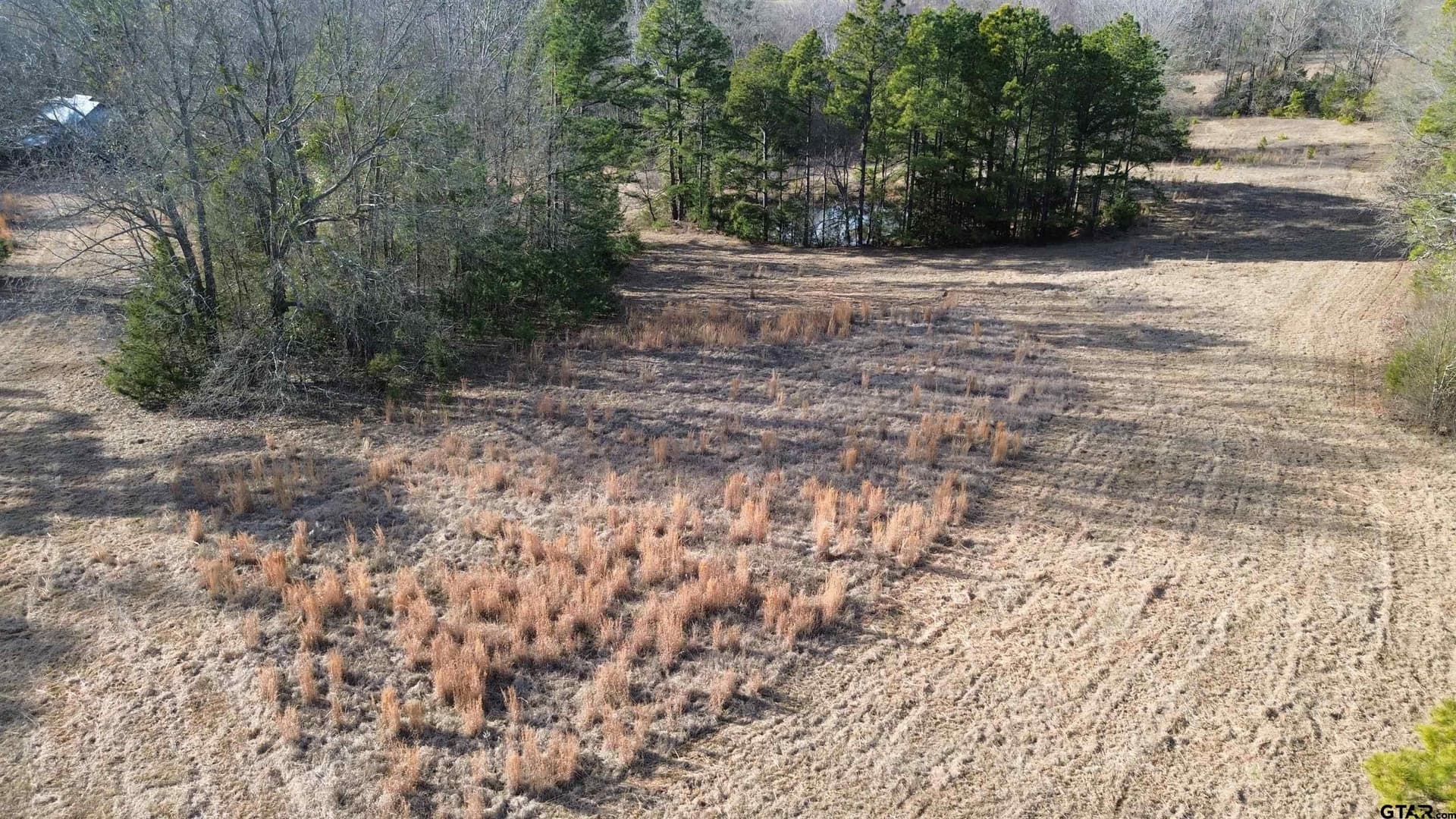 111.7 acres in Wood County - photo 33