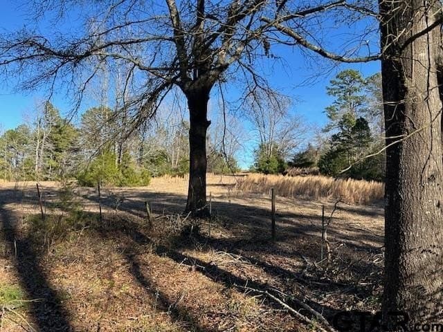 111.7 acres in Wood County - photo 11