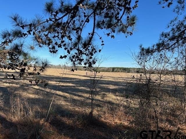 111.7 acres in Wood County - photo 16