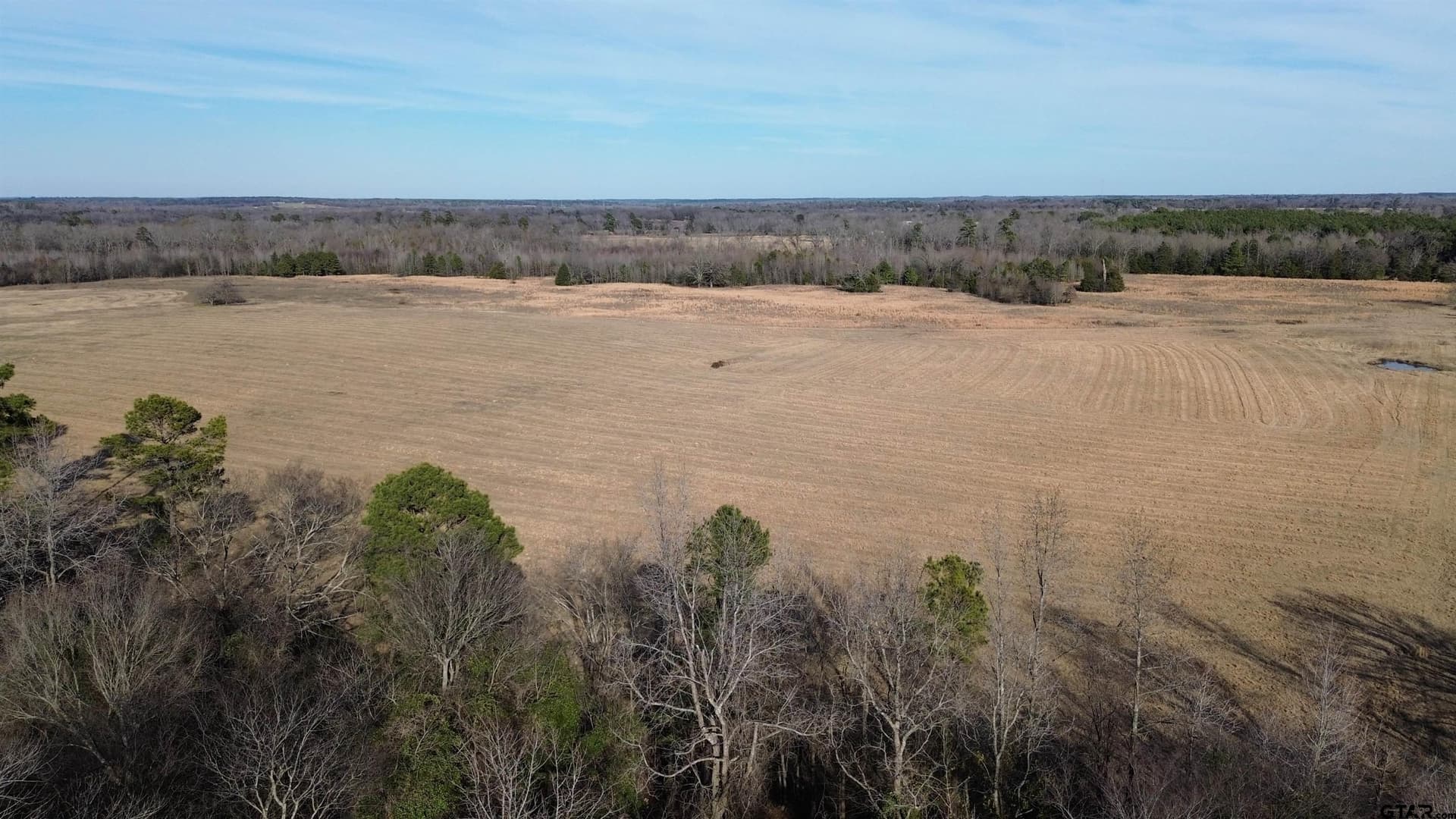111.7 acres in Wood County - photo 26