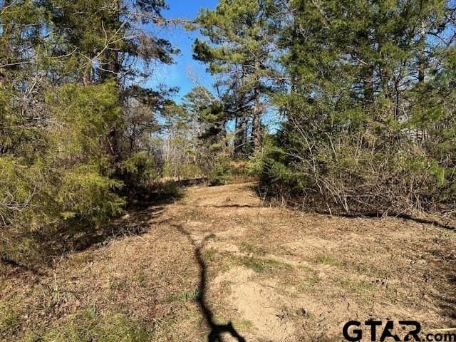 111.7 acres in Wood County - photo 14