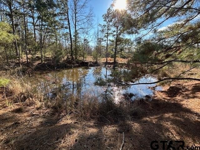 111.7 acres in Wood County - photo 7