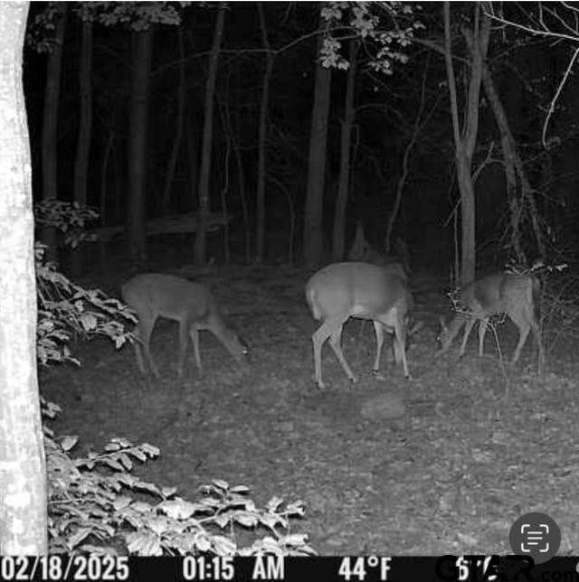 111.7 acres in Wood County - photo 3