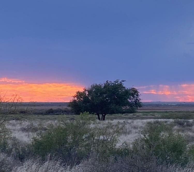 640 acres in Terry County - photo 2