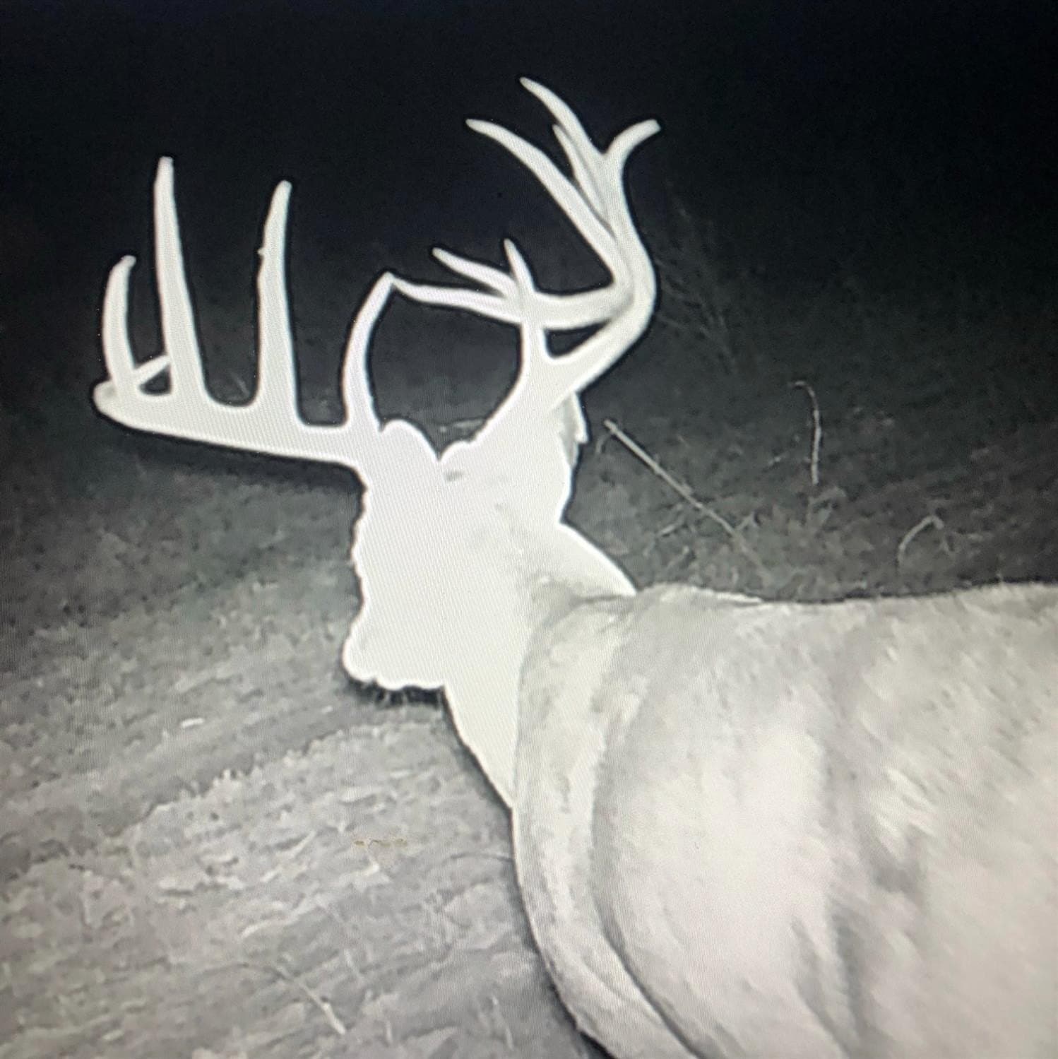 640 acres in Terry County - photo 11