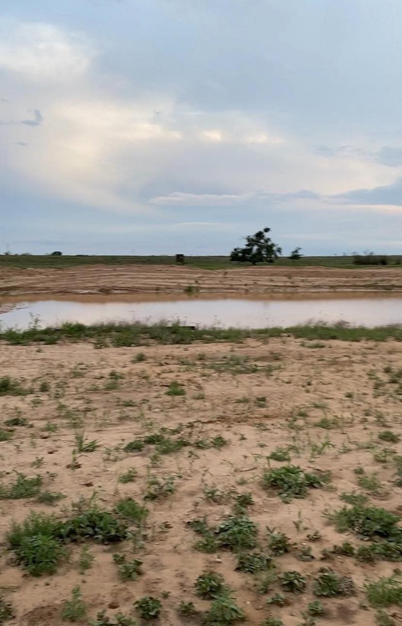 640 acres in Terry County - photo 9