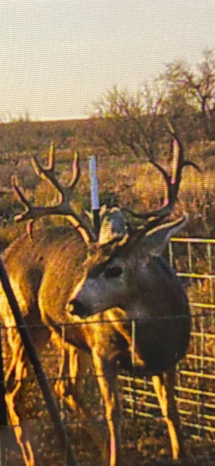 640 acres in Terry County - photo 10