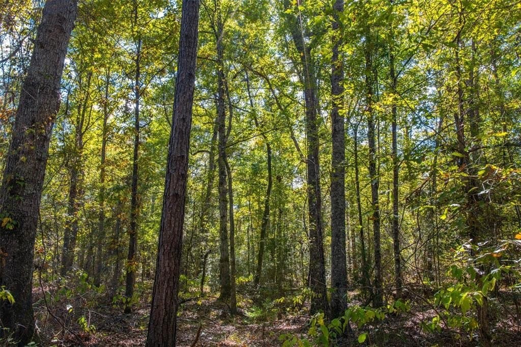 122.69 acres in Nacogdoches County - photo 18