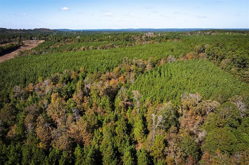 122.69 acres in Nacogdoches County - photo 32