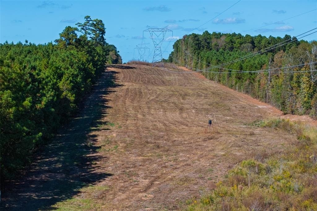 122.69 acres in Nacogdoches County - photo 26