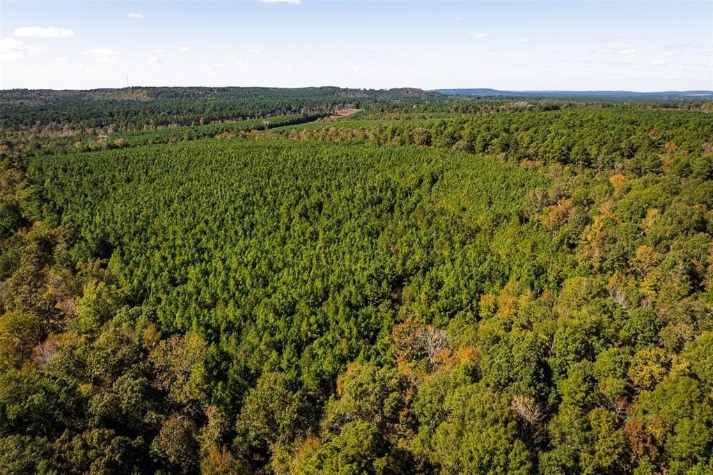 122.69 acres in Nacogdoches County - photo 30