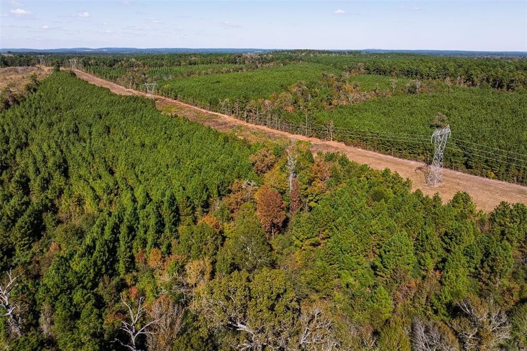 122.69 acres in Nacogdoches County - photo 35