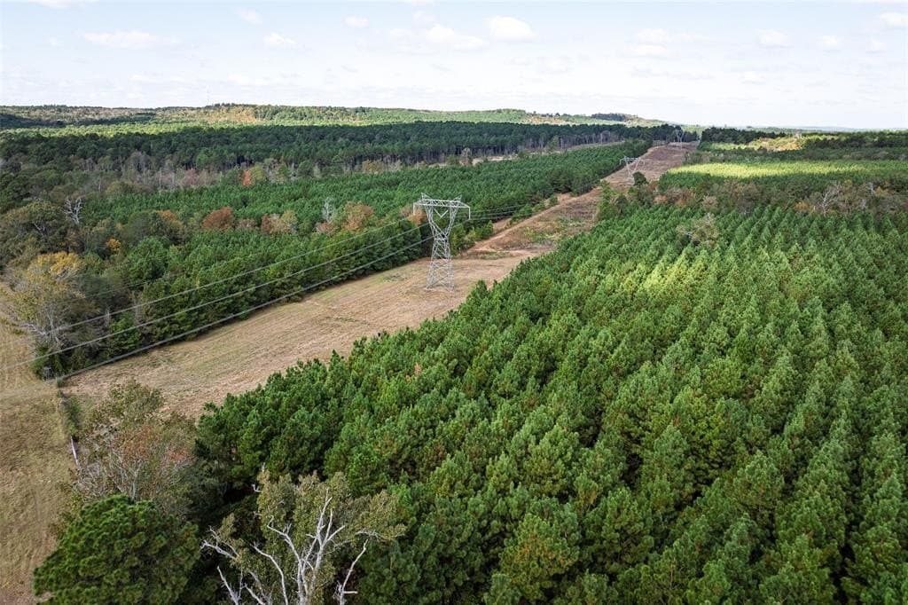 122.69 acres in Nacogdoches County - photo 21