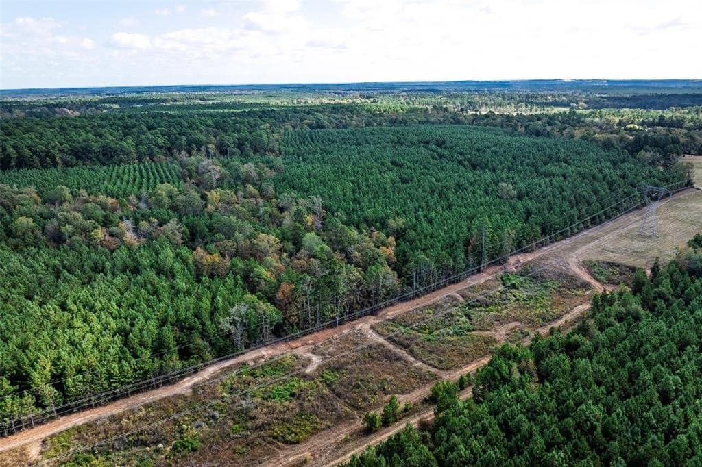 122.69 acres in Nacogdoches County - photo 23