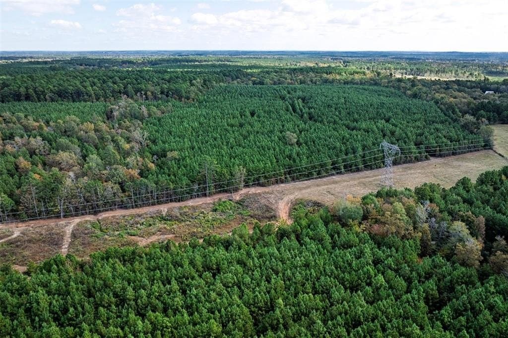 122.69 acres in Nacogdoches County - photo 3