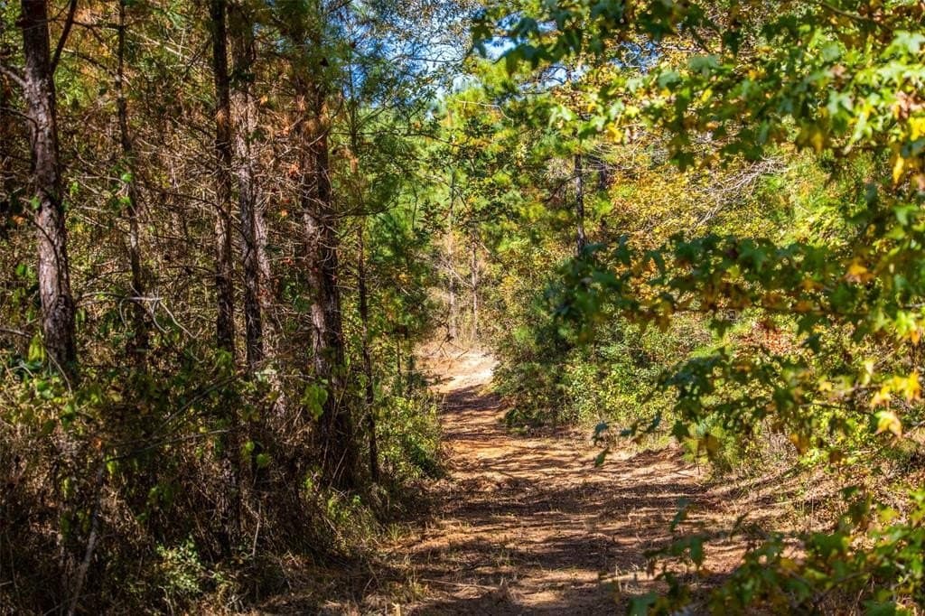 122.69 acres in Nacogdoches County - photo 17