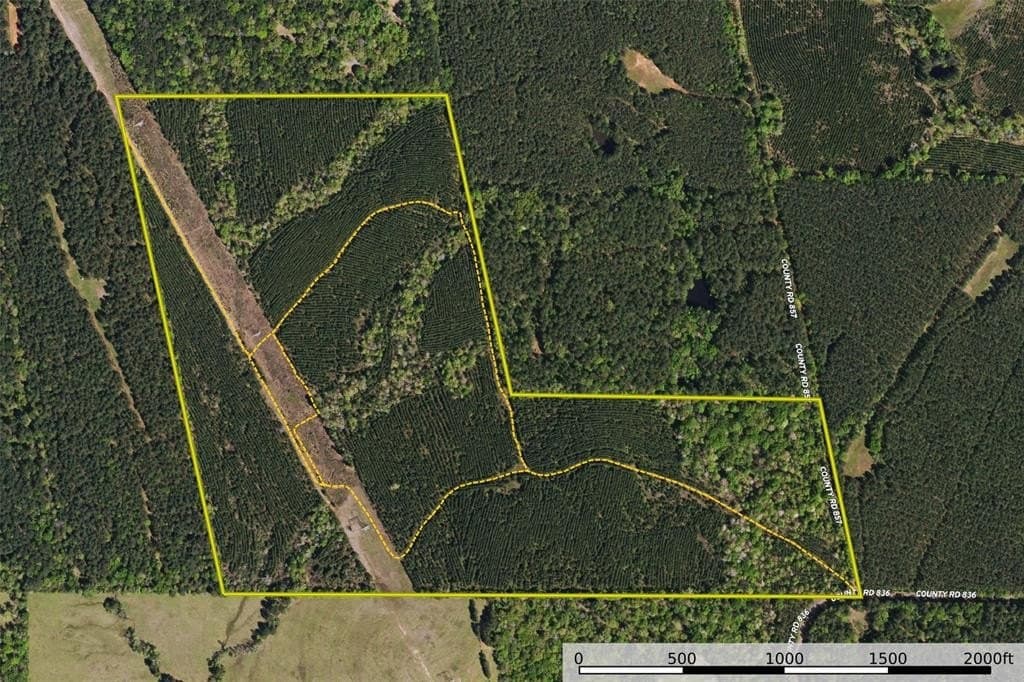 122.69 acres in Nacogdoches County - photo 37