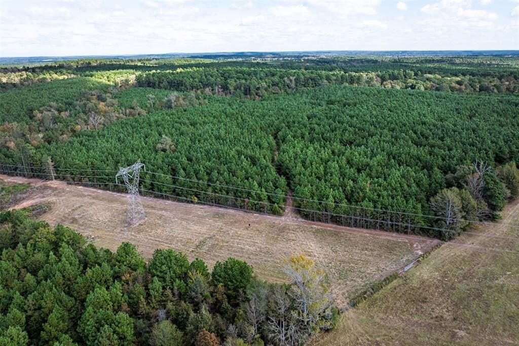 122.69 acres in Nacogdoches County - photo 22