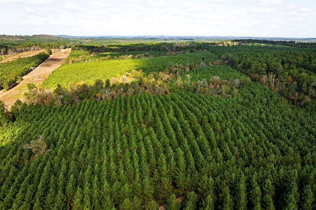 122.69 acres in Nacogdoches County - photo 4
